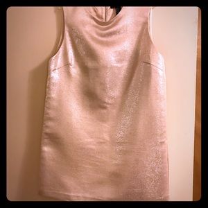 Shimmery dress